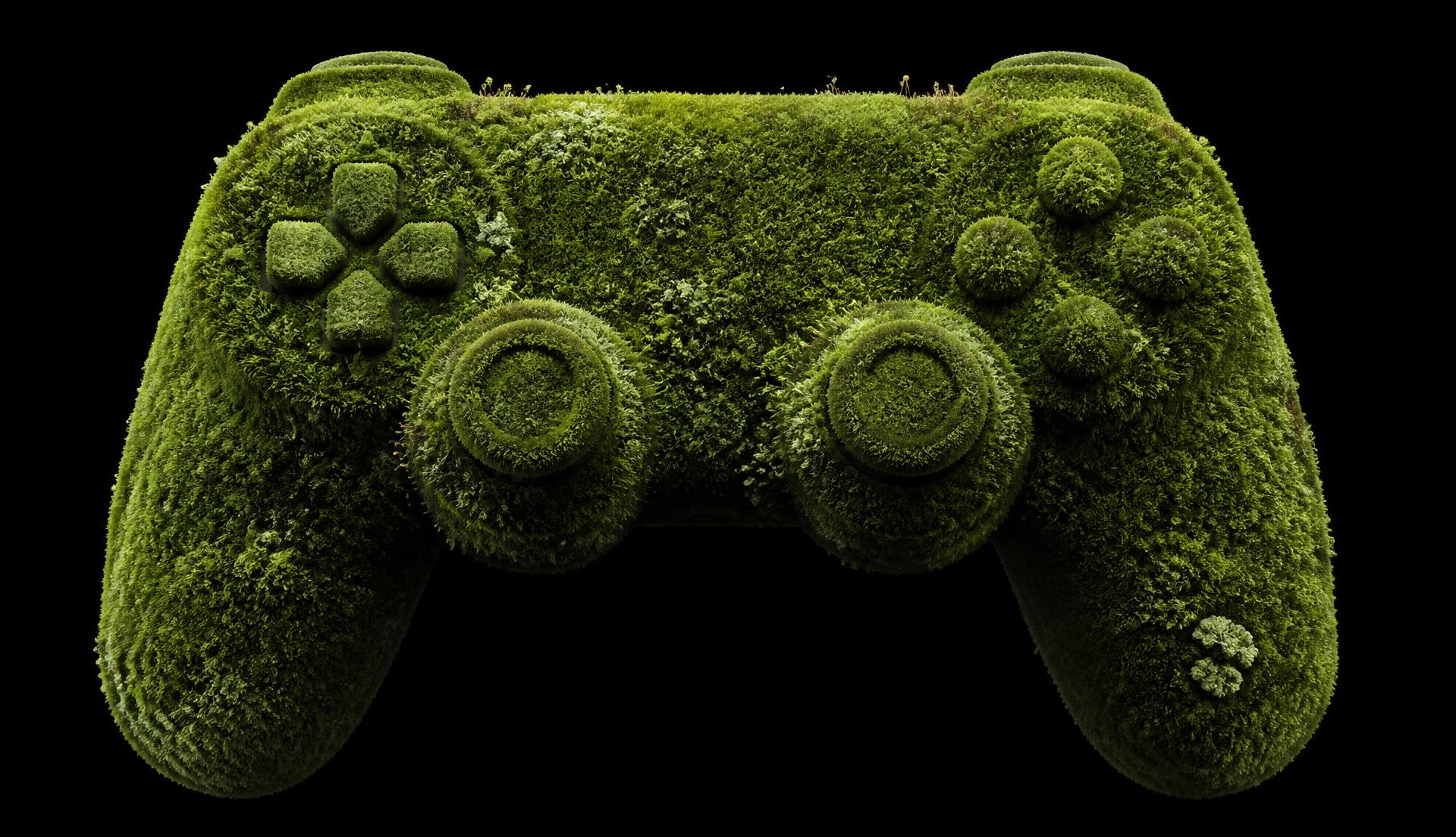 Moss & lichen